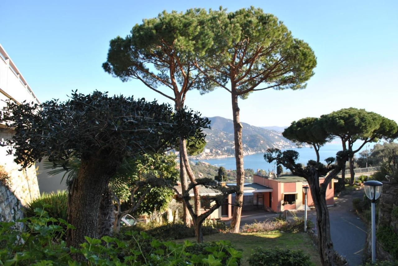 Residence "Delfino" Con Piscina E Campo Da Tennis Rapallo Buitenkant foto